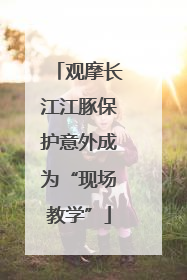 观摩长江江豚保护意外成为“现场教学”