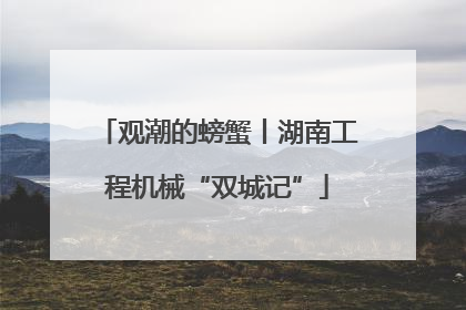 观潮的螃蟹丨湖南工程机械“双城记”