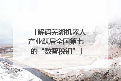 解码芜湖机器人产业跃居全国第七的“数智税钥”