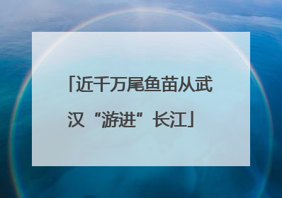 近千万尾鱼苗从武汉“游进”长江