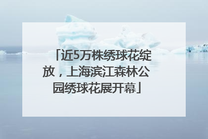 近5万株绣球花绽放，上海滨江森林公园绣球花展开幕