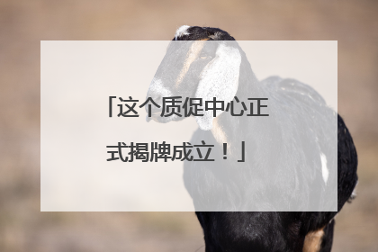 这个质促中心正式揭牌成立！