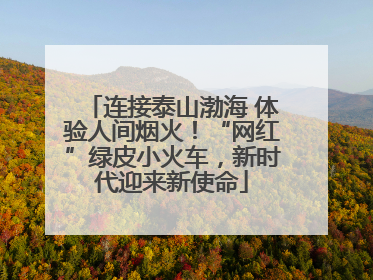 连接泰山渤海 体验人间烟火！“网红”绿皮小火车，新时代迎来新使命