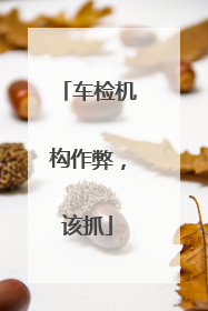 车检机构作弊，该抓