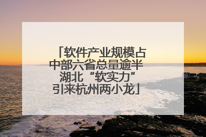 软件产业规模占中部六省总量逾半 湖北“软实力”引来杭州两小龙