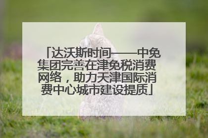 达沃斯时间——中免集团完善在津免税消费网络，助力天津国际消费中心城市建设提质