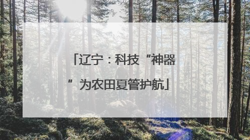 辽宁：科技“神器”为农田夏管护航