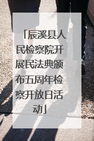 辰溪县人民检察院开展民法典颁布五周年检察开放日活动
