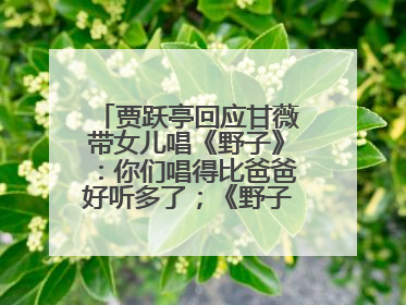 贾跃亭回应甘薇带女儿唱《野子》：你们唱得比爸爸好听多了；《野子》曾是贾跃亭“代表作”