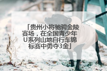 贵州小将驰骋金陵赛场，在全国青少年U系列山地自行车锦标赛中勇夺3金