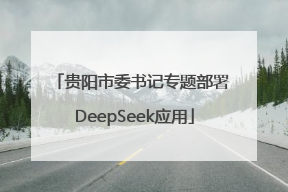 贵阳市委书记专题部署DeepSeek应用
