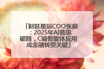 财跃星辰COO张展：2025年AI普惠破圈，C端智能体应用成金融转型关键