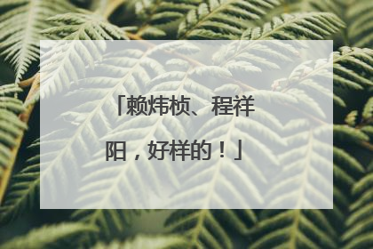 赖炜桢、程祥阳，好样的！