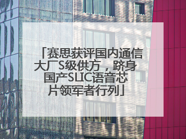 赛思获评国内通信大厂S级供方，跻身国产SLIC语音芯片领军者行列