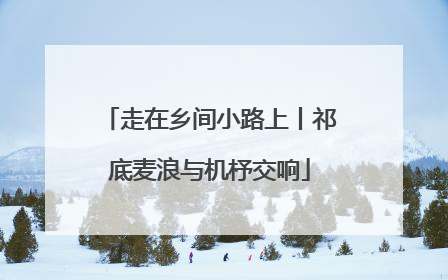 走在乡间小路上丨祁底麦浪与机杼交响