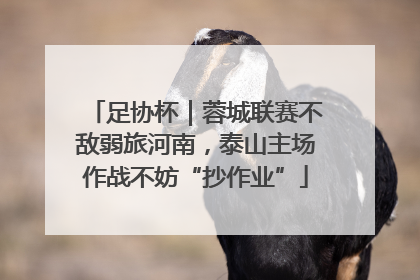 足协杯｜蓉城联赛不敌弱旅河南，泰山主场作战不妨“抄作业”