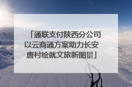 通联支付陕西分公司以云商通方案助力长安唐村绘就文旅新图景
