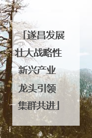 遂昌发展壮大战略性新兴产业 龙头引领 集群共进
