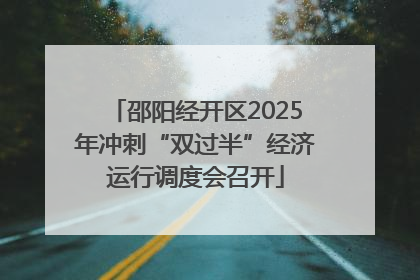 邵阳经开区2025年冲刺“双过半”经济运行调度会召开