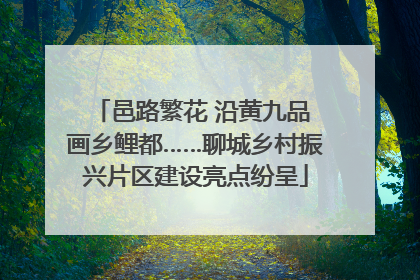 邑路繁花 沿黄九品 画乡鲤都……聊城乡村振兴片区建设亮点纷呈
