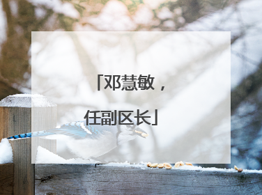 邓慧敏，任副区长