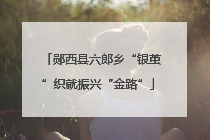 郧西县六郎乡“银茧”织就振兴“金路”