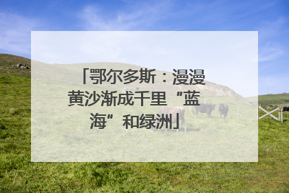 鄂尔多斯：漫漫黄沙渐成千里“蓝海”和绿洲