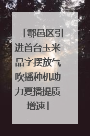 鄠邑区引进首台玉米品字摆放气吹播种机助力夏播提质增速