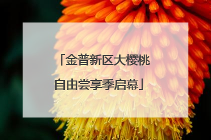 金普新区大樱桃自由尝享季启幕