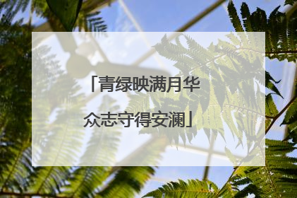 青绿映满月华 众志守得安澜
