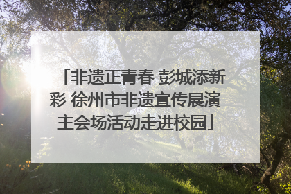 非遗正青春 彭城添新彩 徐州市非遗宣传展演主会场活动走进校园