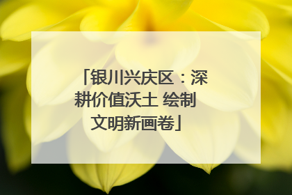 银川兴庆区：深耕价值沃土 绘制文明新画卷