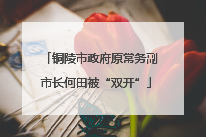 铜陵市政府原常务副市长何田被“双开”
