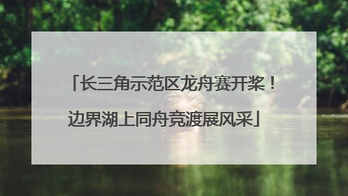 长三角示范区龙舟赛开桨！边界湖上同舟竞渡展风采