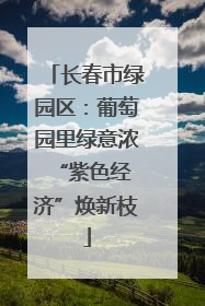 长春市绿园区：葡萄园里绿意浓 “紫色经济”焕新枝