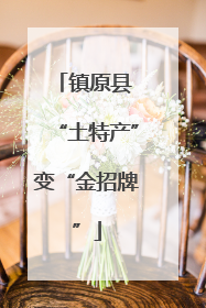 镇原县 “土特产”变“金招牌”