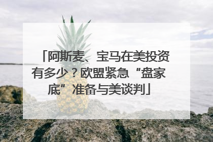 阿斯麦、宝马在美投资有多少？欧盟紧急“盘家底”准备与美谈判