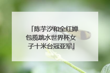 陈芋汐和全红婵包揽跳水世界杯女子十米台冠亚军