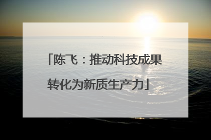 陈飞：推动科技成果转化为新质生产力