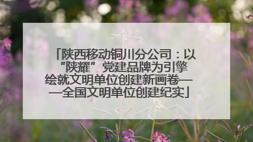 陕西移动铜川分公司：以“陕耀”党建品牌为引擎 绘就文明单位创建新画卷——全国文明单位创建纪实