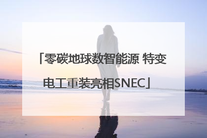 零碳地球数智能源 特变电工重装亮相SNEC