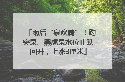 雨后“泉欢腾”！趵突泉、黑虎泉水位止跌回升，上涨3厘米