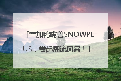 雪加鸭嘴兽SNOWPLUS，卷起潮流风暴！