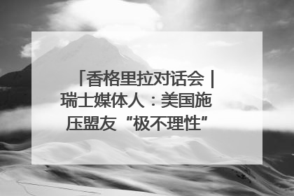 香格里拉对话会｜瑞士媒体人：美国施压盟友“极不理性” 欧洲国家无意与中国“脱钩断链”