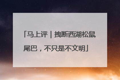 马上评｜拽断西湖松鼠尾巴，不只是不文明