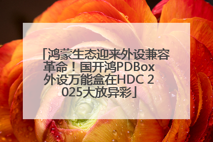 鸿蒙生态迎来外设兼容革命！国开鸿PDBox外设万能盒在HDC 2025大放异彩