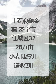 麦浪翻金穗 济宁市任城区32.28万亩小麦陆续开镰收割