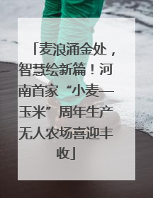 麦浪涌金处，智慧绘新篇！河南首家“小麦—玉米”周年生产无人农场喜迎丰收