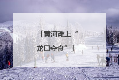 黄河滩上“龙口夺食”