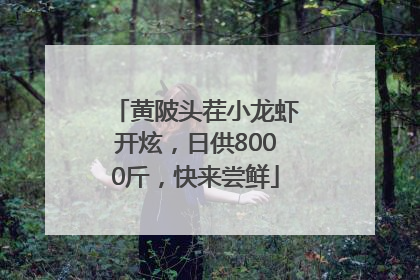 黄陂头茬小龙虾开炫，日供8000斤，快来尝鲜